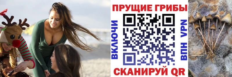 Галлюциногенные грибы мухоморы  купить  сайты  Кондопога 